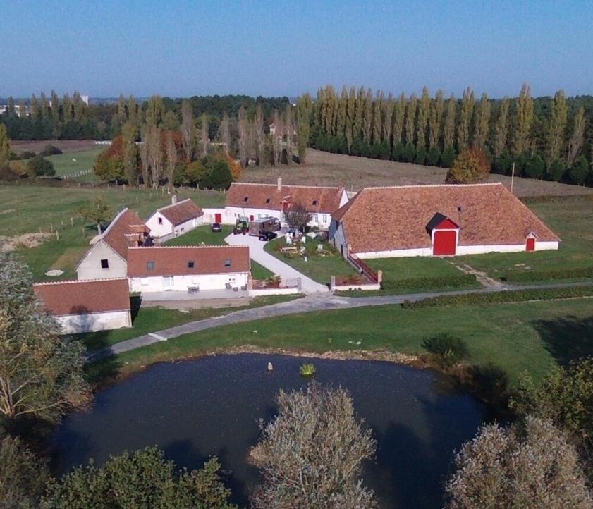 La Maison Des Biquettes Romorantin-Lanthenay Exteriör bild